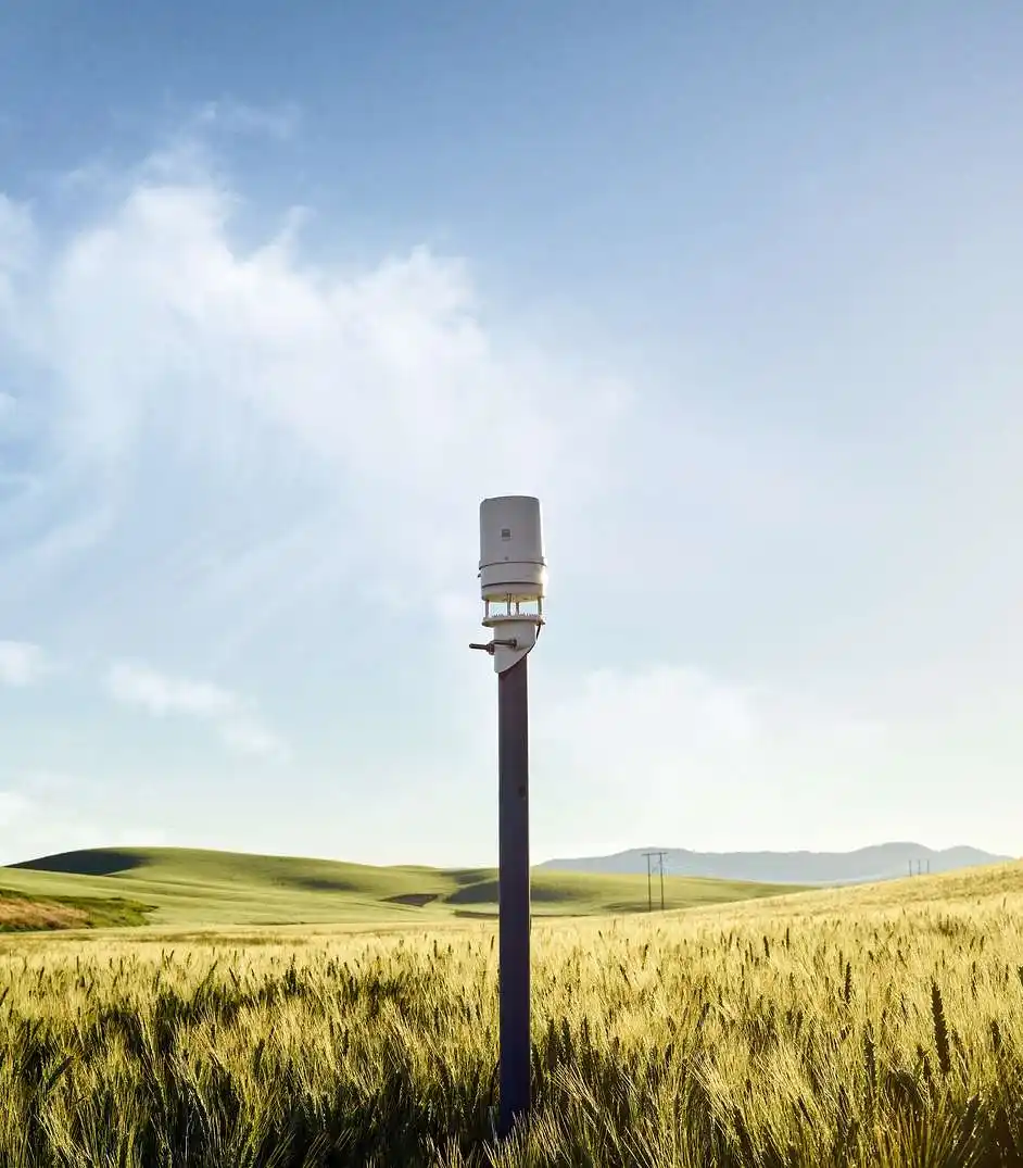 A photograph of an ATMOS 41 installed on a pole in a wheatfield in the Palouse region.