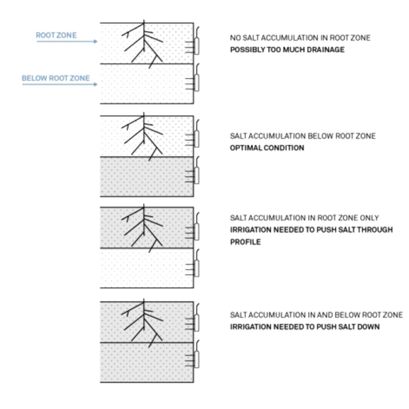 How Saturation Extract Values Might Compare to one Another