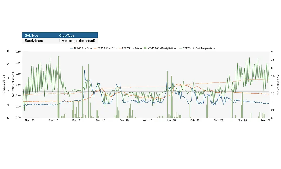 A graph showing water content, precipitation, and temperature during freezing in sandy loam soil with invasive species growing on top during winter