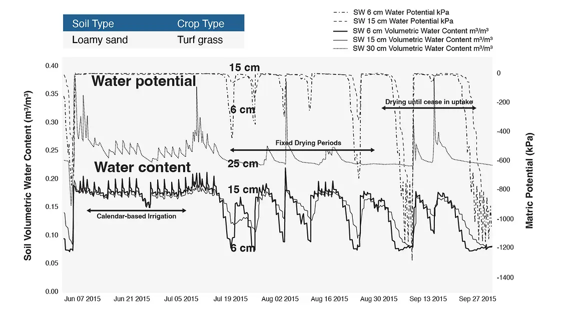 A graph showing water content and water potential measurements for a turf grass in loamy sand in wet conditions