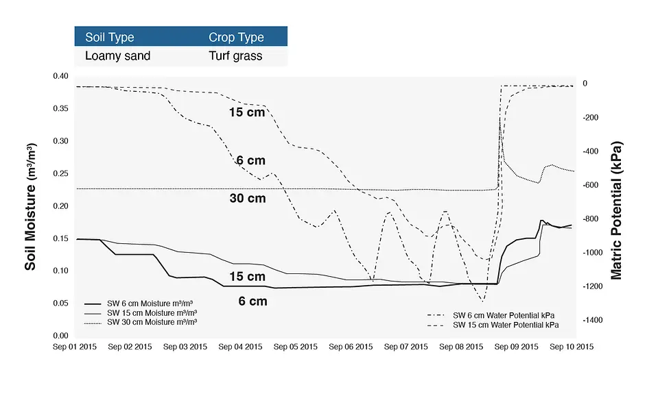 A graph of the turf grass in loamy sand shown in Figure 2 in drought conditions