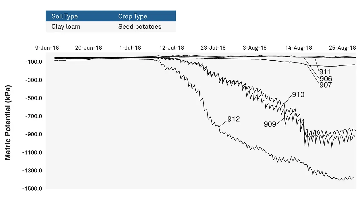A graph showing the water potential measurements for the same field represented in Figure 8