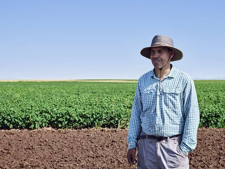 A researcher standing in front of a crop in a field