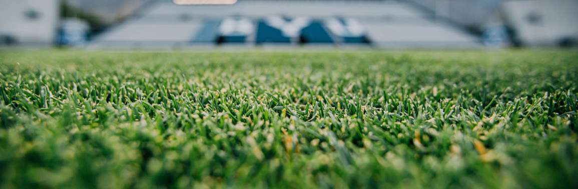 BYU Stadium Turf
