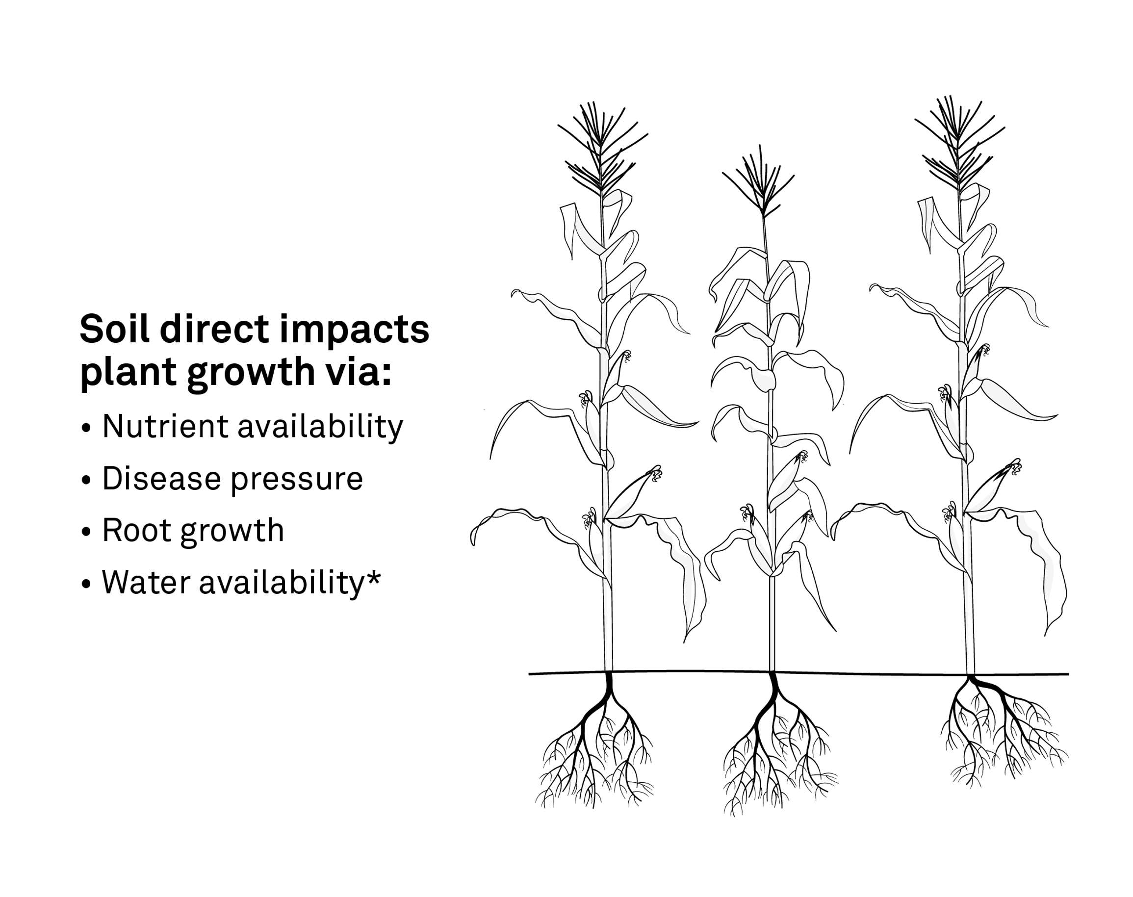 A diagram showing soil impact on plant growth