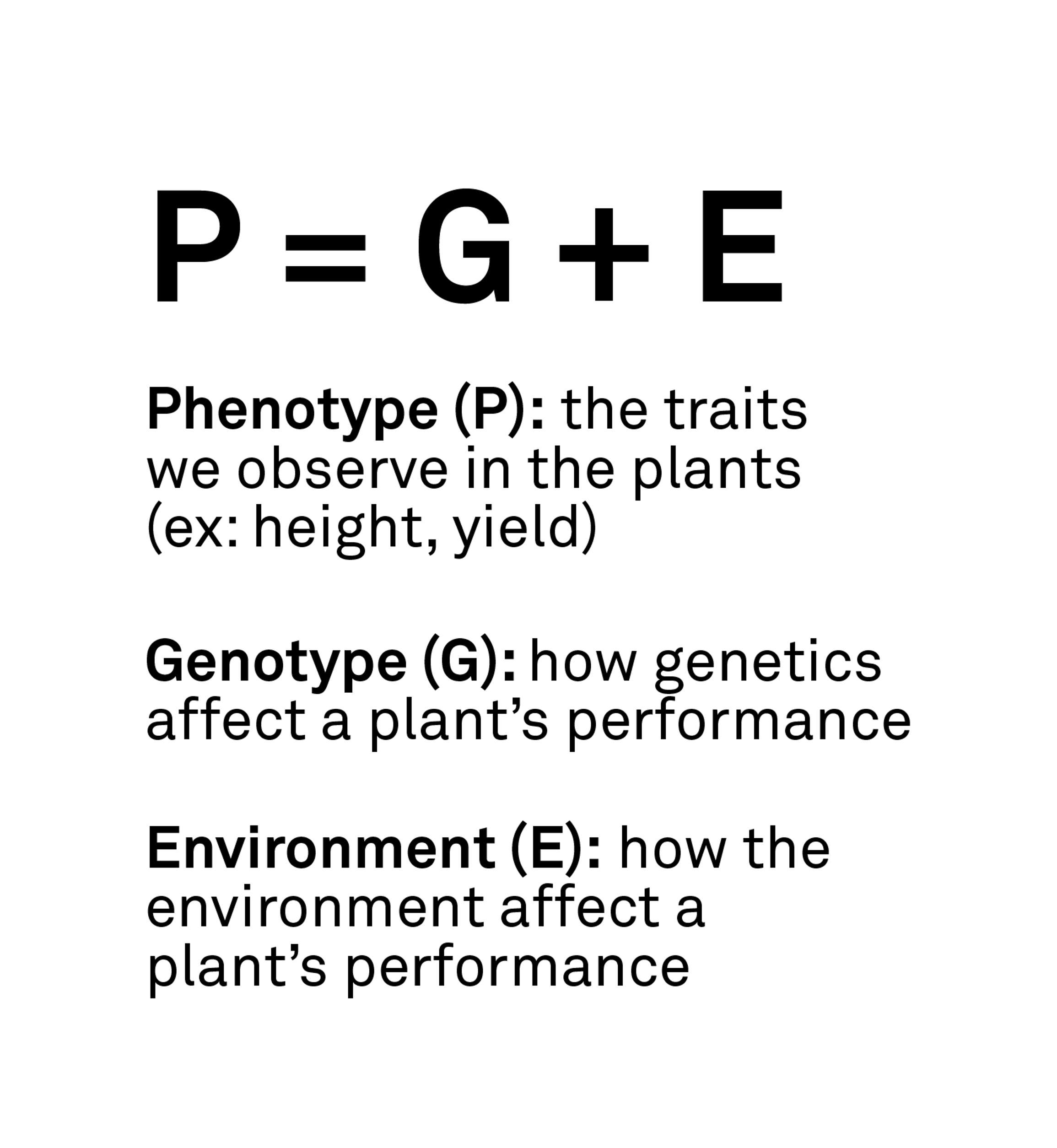 A diagram explaining Phenotype = Genotype + Environment