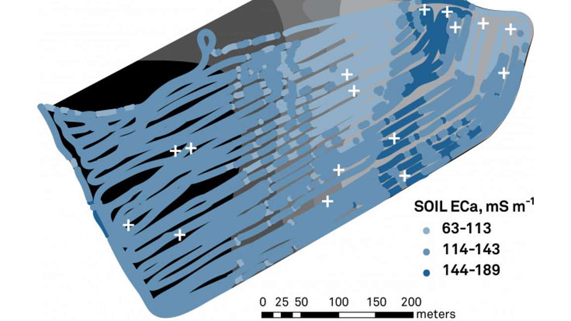 EC map showing variability in a Texas field