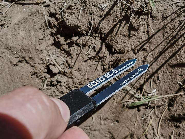 A photograph of a ECH2) water content sensor being pushed into the soil