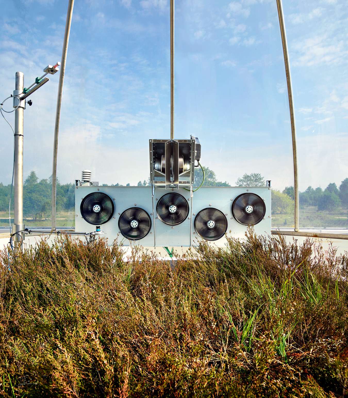 Inside of the Ecotron lysimeter facility
