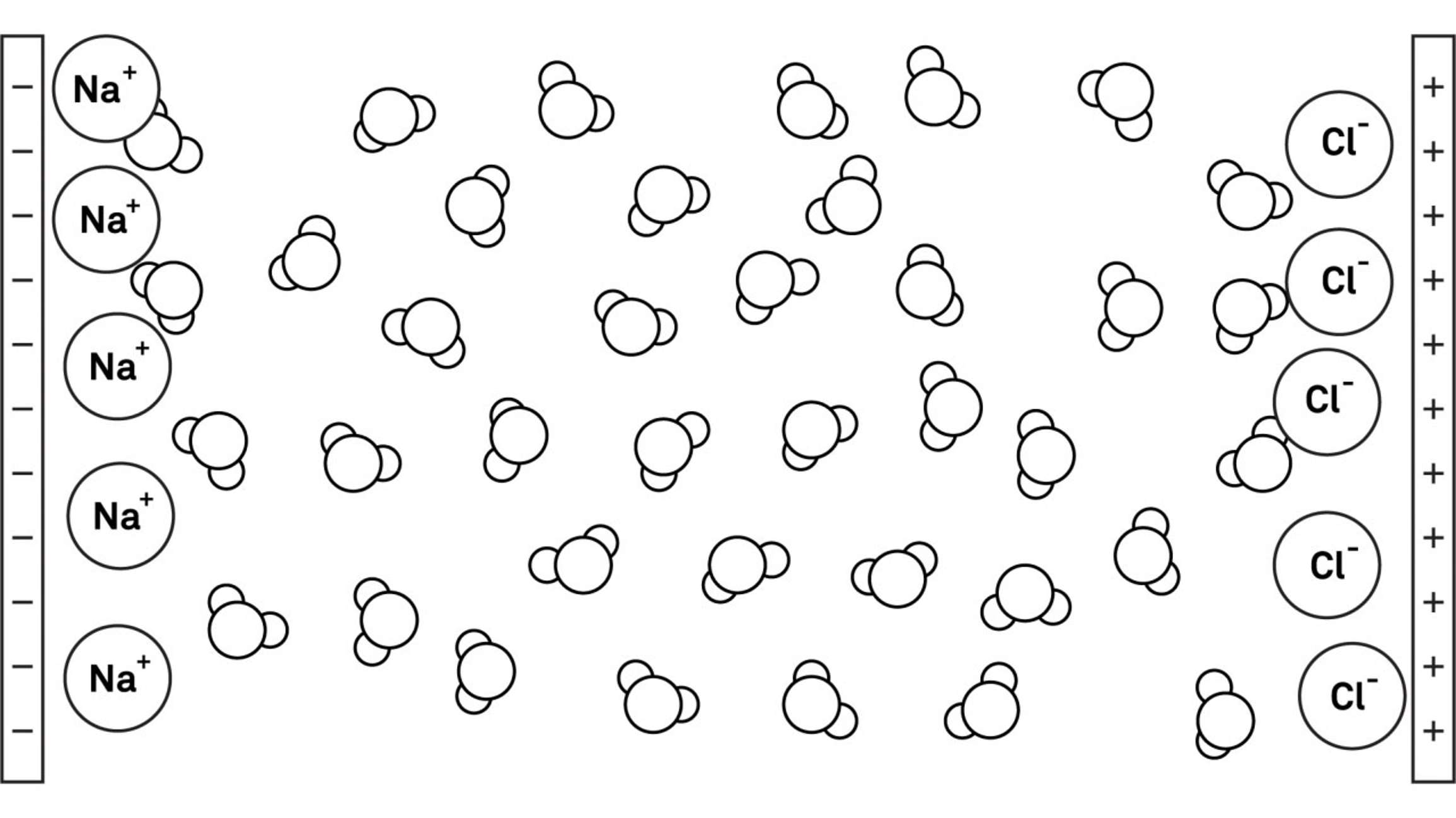 An illustration of a diagram shows two electrodes with a voltage difference between them