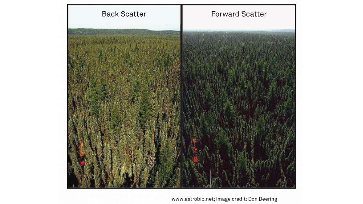 Example of Backscatter and Forward Scatter