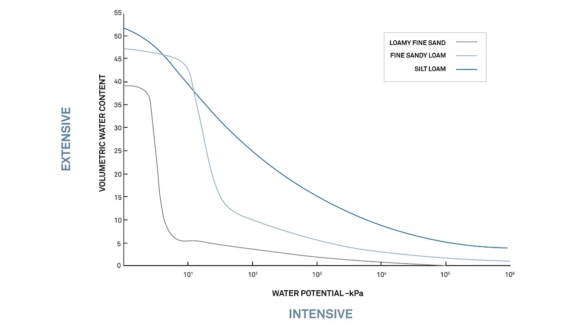 A graph showing VWC is the extensive variable and water potential is the intensive variable