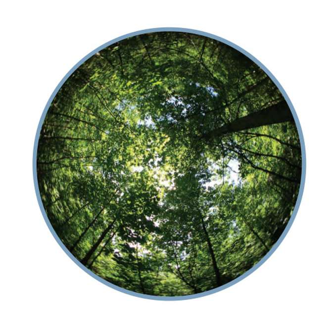 Hemispherical Photography