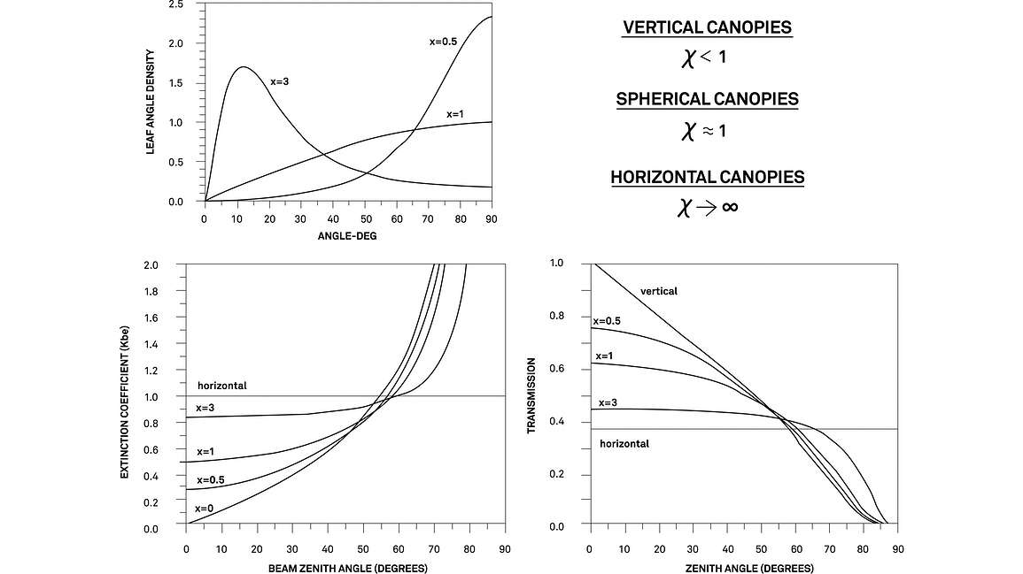How chi value or leaf angle distribution influence the extinction coefficient dependent on the zenith angle of the sun