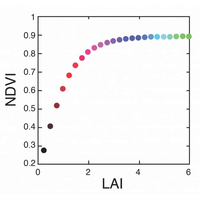 Leaf Area Index of Three to Four