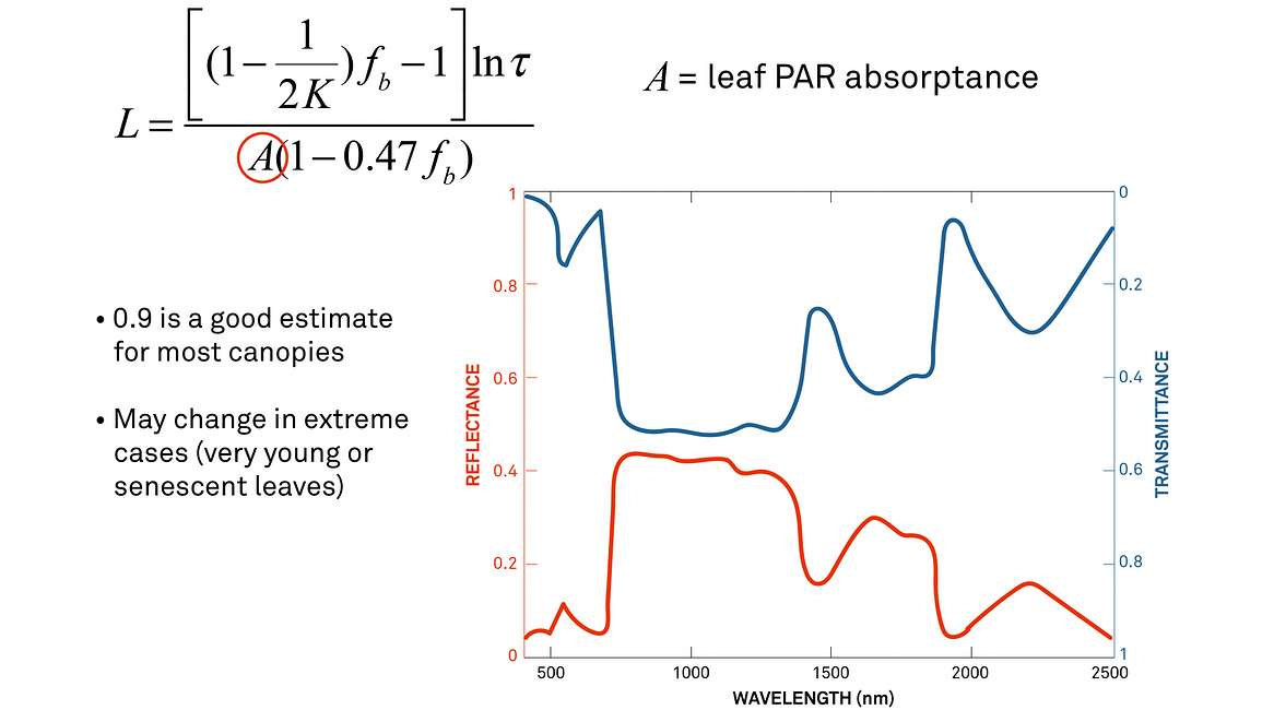Leaf PAR Absorptance