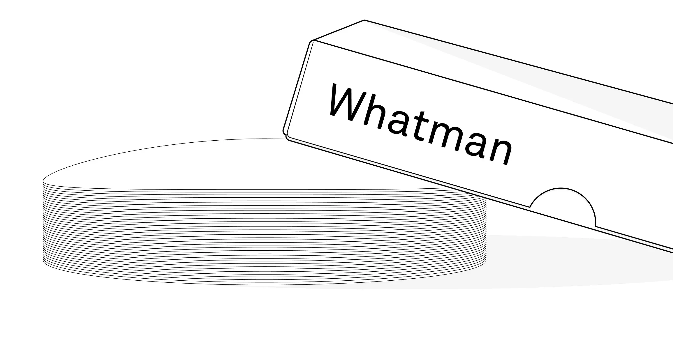 An illustration of Whatman #42 filter paper