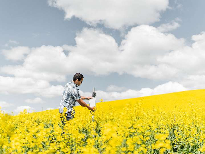 A photograph of a researcher standing in a canola field installing a ZL6 data logger