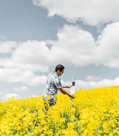 Scientist in a canola field installing a ZL6 data logger