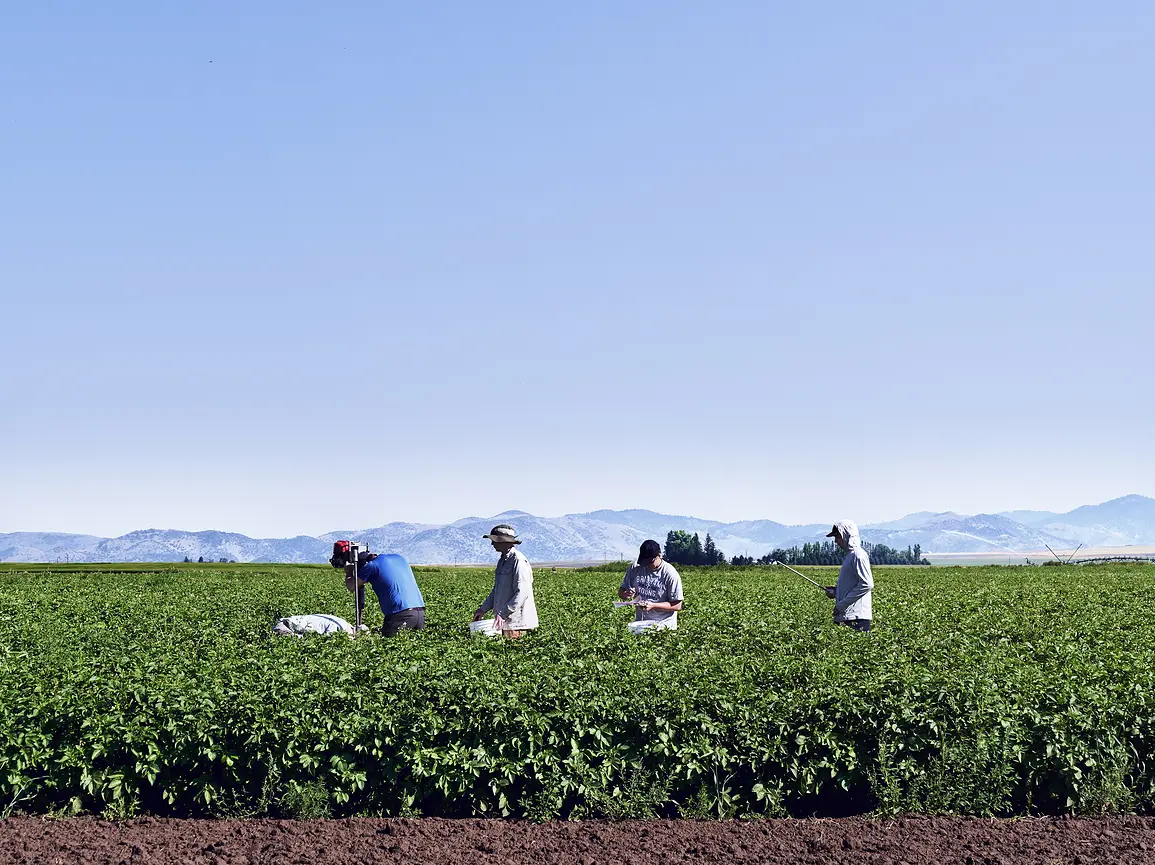 A photo of researchers in a field performing measurements