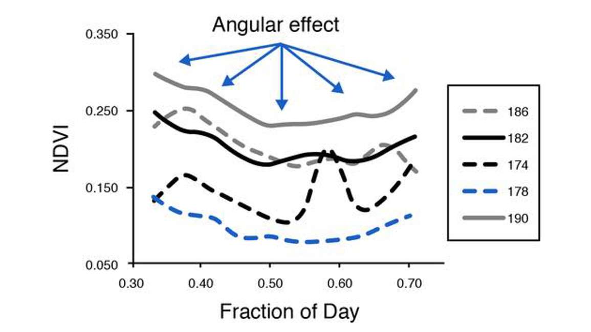 NDVI Time Series Data