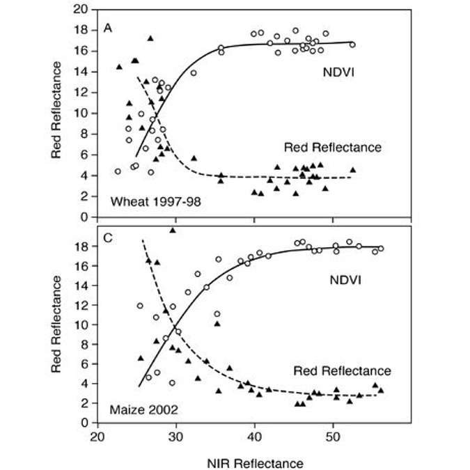 NIR Reflectance