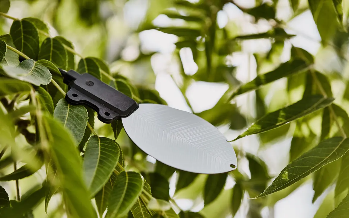 A photograph of a PHYTOS 31 leaf wetness sensor amongst leaves