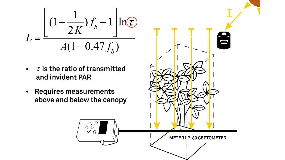 Ratio of Transmitted and Incident PAR