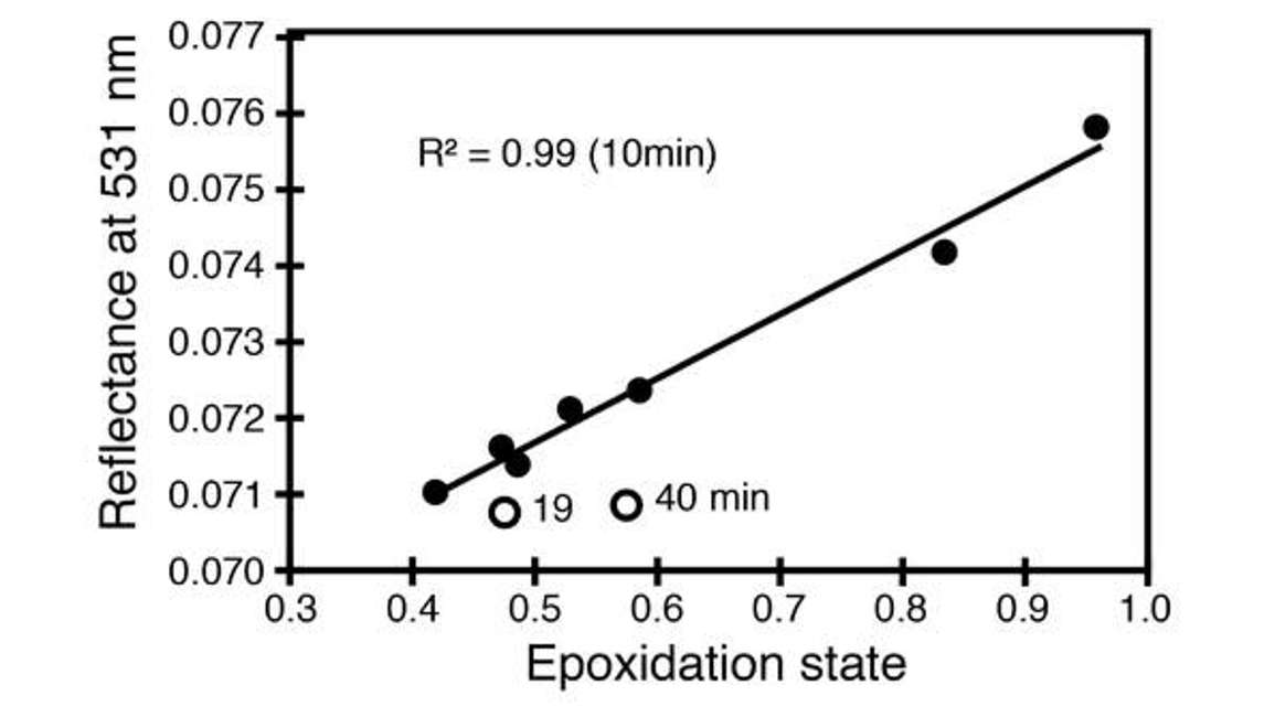 Reflectance at 531 Nanometers