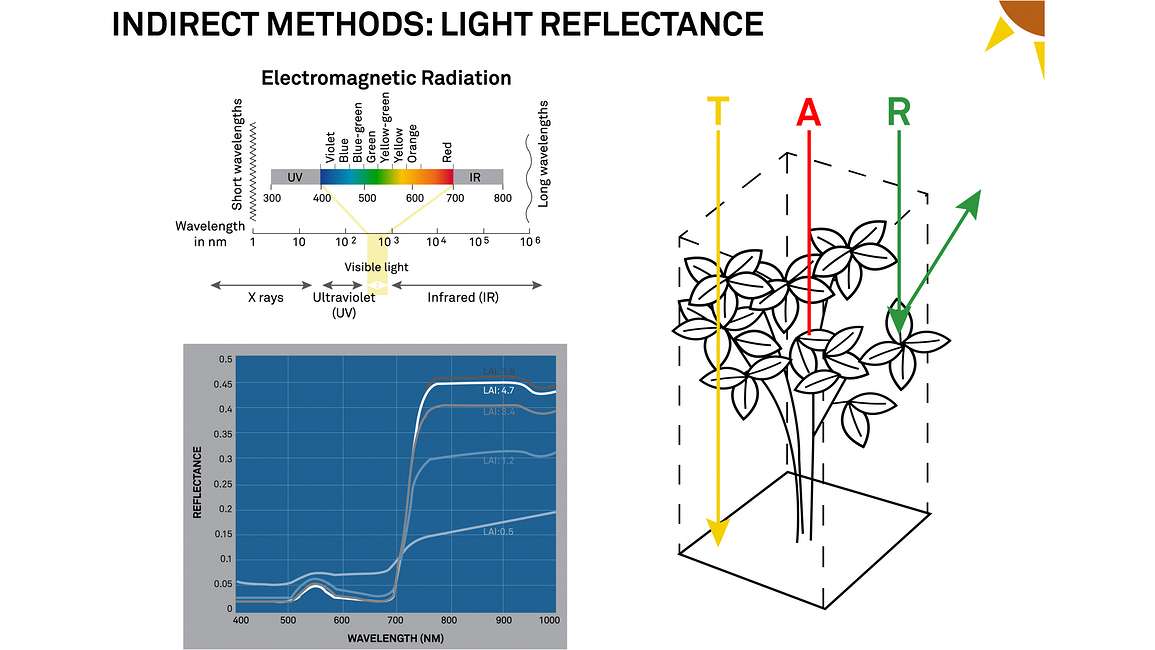Reflectance Data