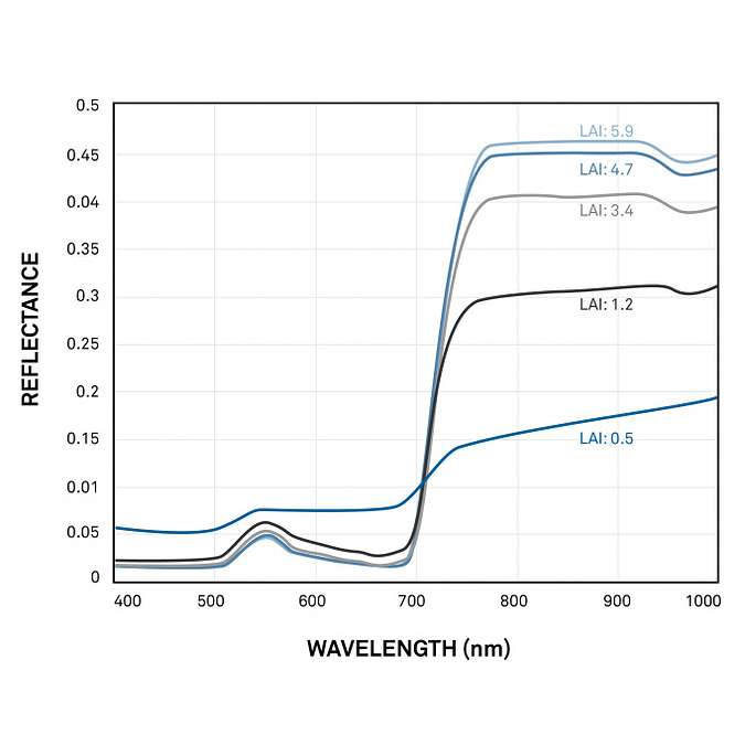 Reflectance Spectra Obtained at Different Canopy Development