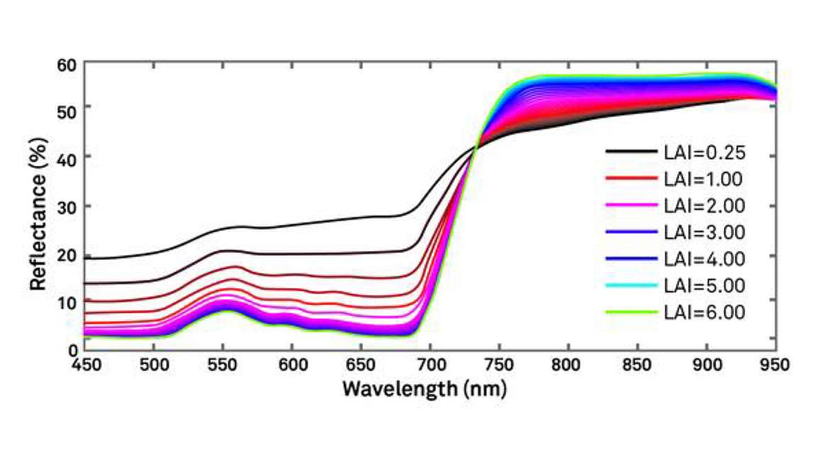 Reflectance Spectrum at a Given Canopy