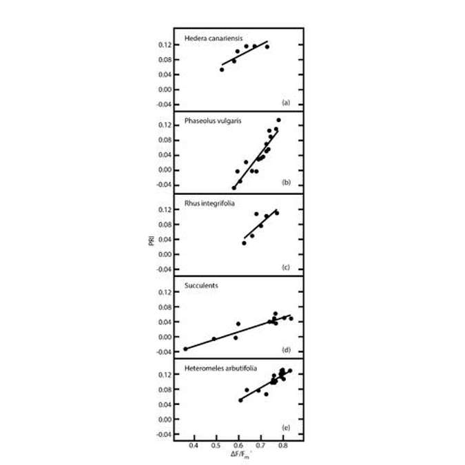Relationship Between PRI and Fluorescence