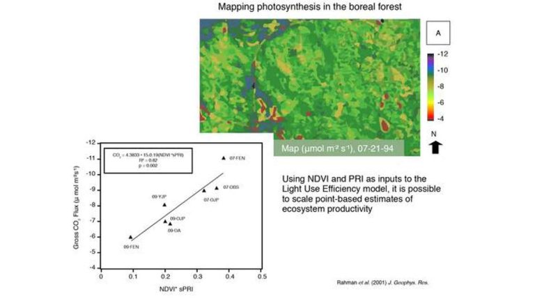NDVI (normalized difference vegetation index) and PRI (photochemical ...