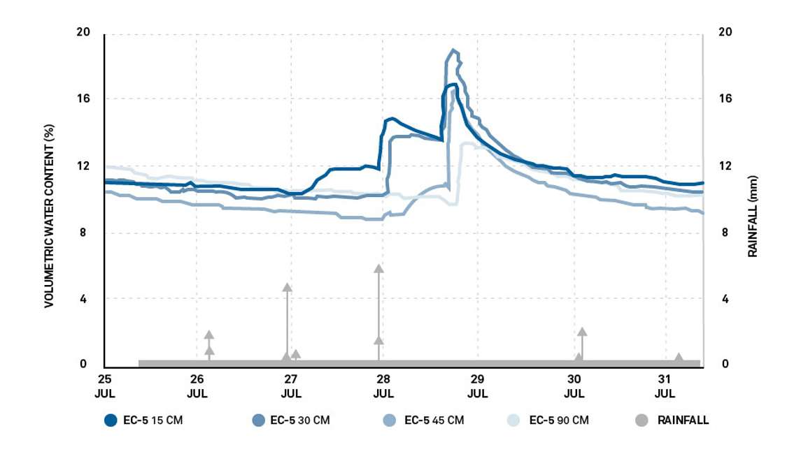 A graph of soil water content at four depths (15, 30, 45, and 90 cm) in an orange grove with loamy sand soils