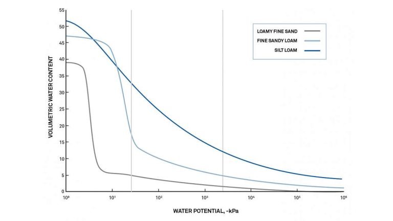 Water potential the complete researcher guide - METER Group