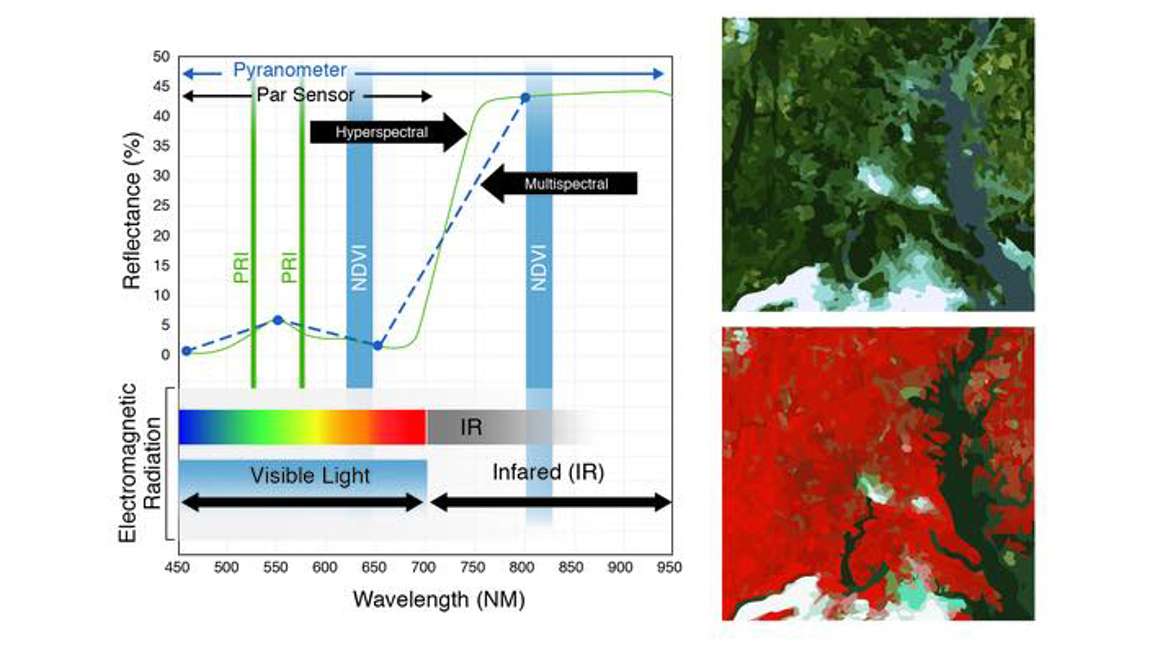 Spectral Reflectance Data