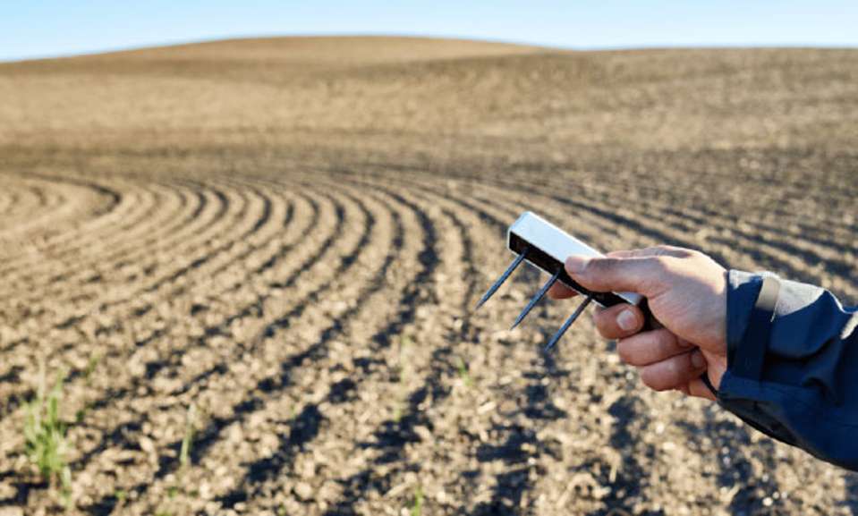 A researcher hold a TEROS 12 soil moisture sensor