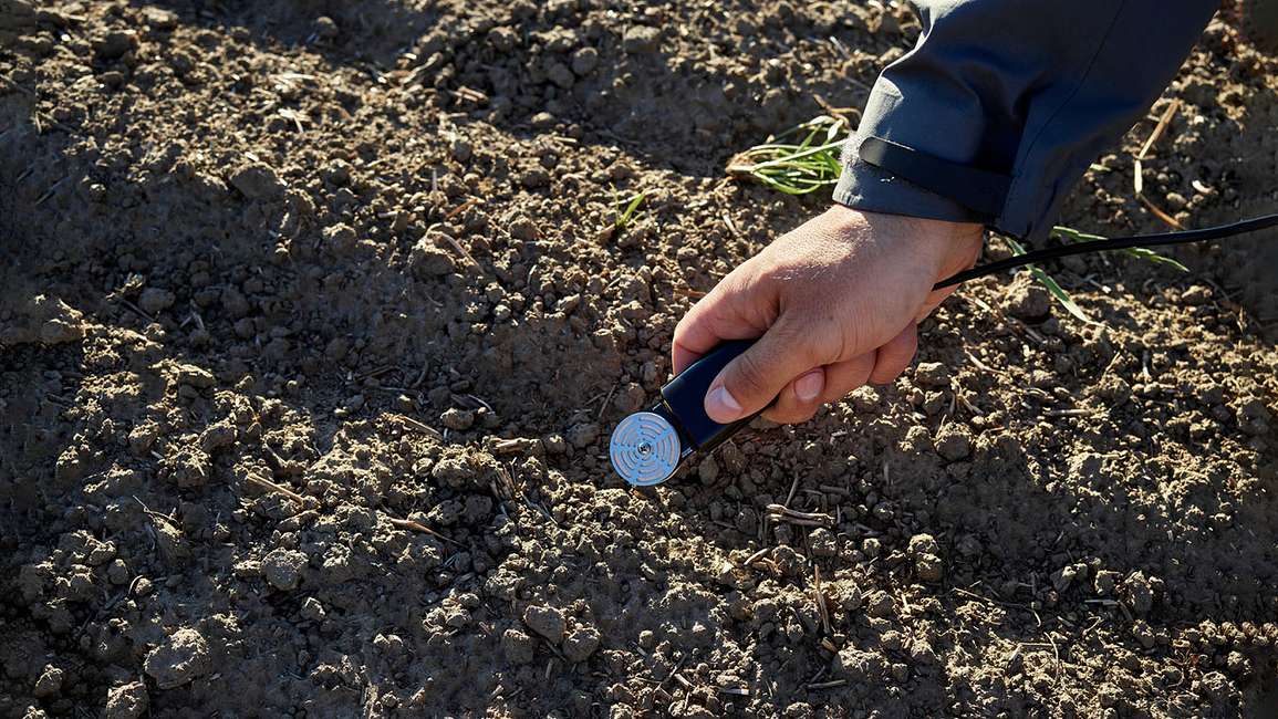 A researcher holding a TEROS 21 water potential sensor over the soil