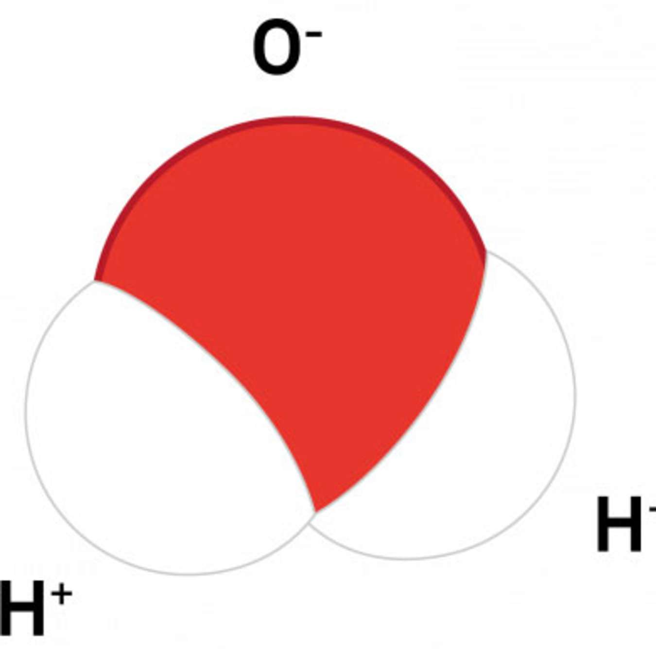 A diagram of a water molecule