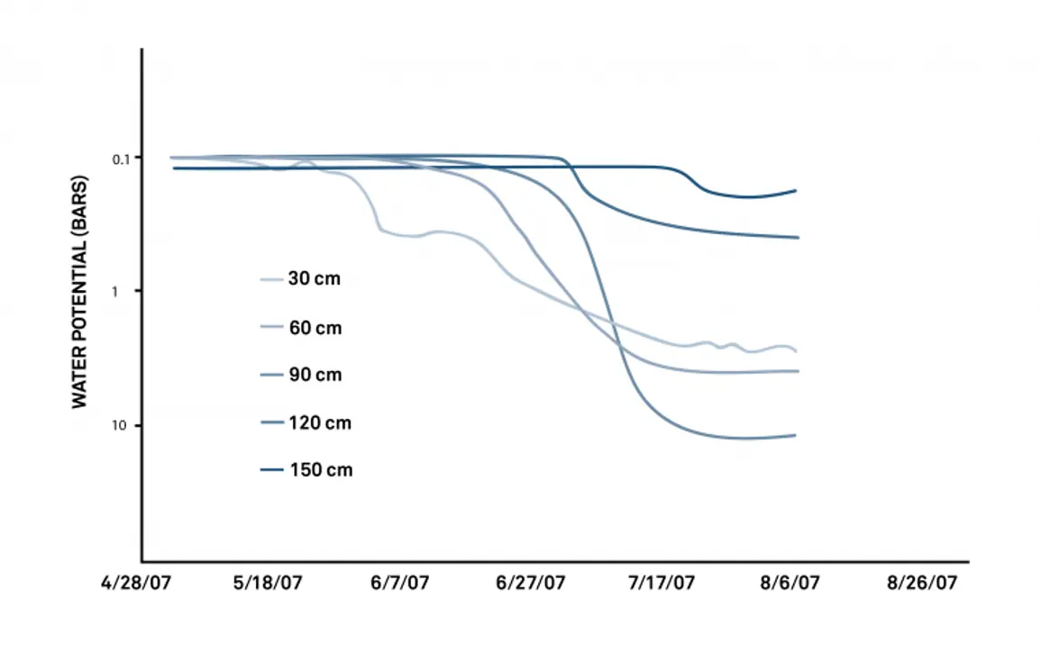 A graph showing water potential data plotted over time