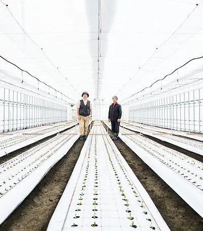 Two farmers standing in a hot house in Fukushima, Japan