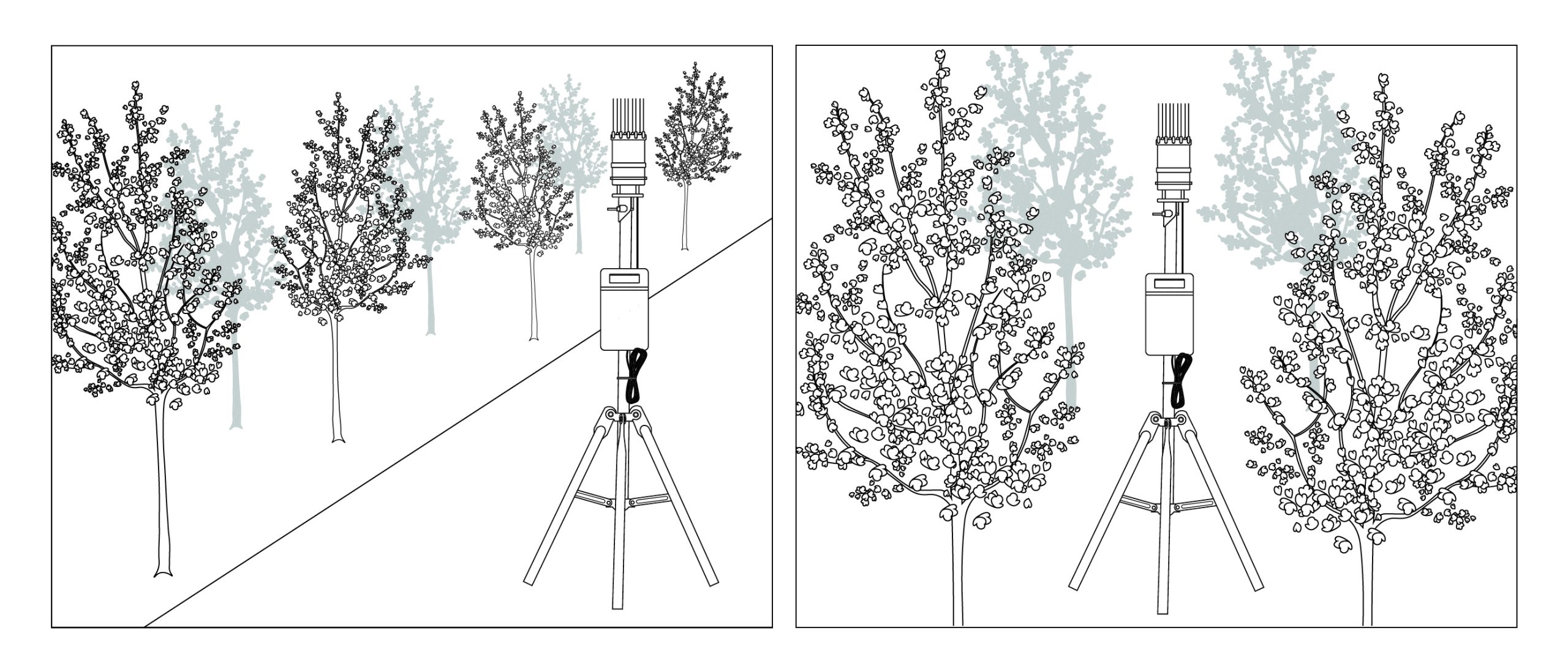 Line drawings of an ATMOS 41 with bird spikes and a ZL6 data logger shown inside the canopy and outside the canopy