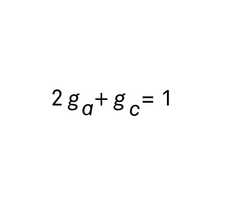 Figure 6. The equation used to determine the shape factor in the de Vries model 