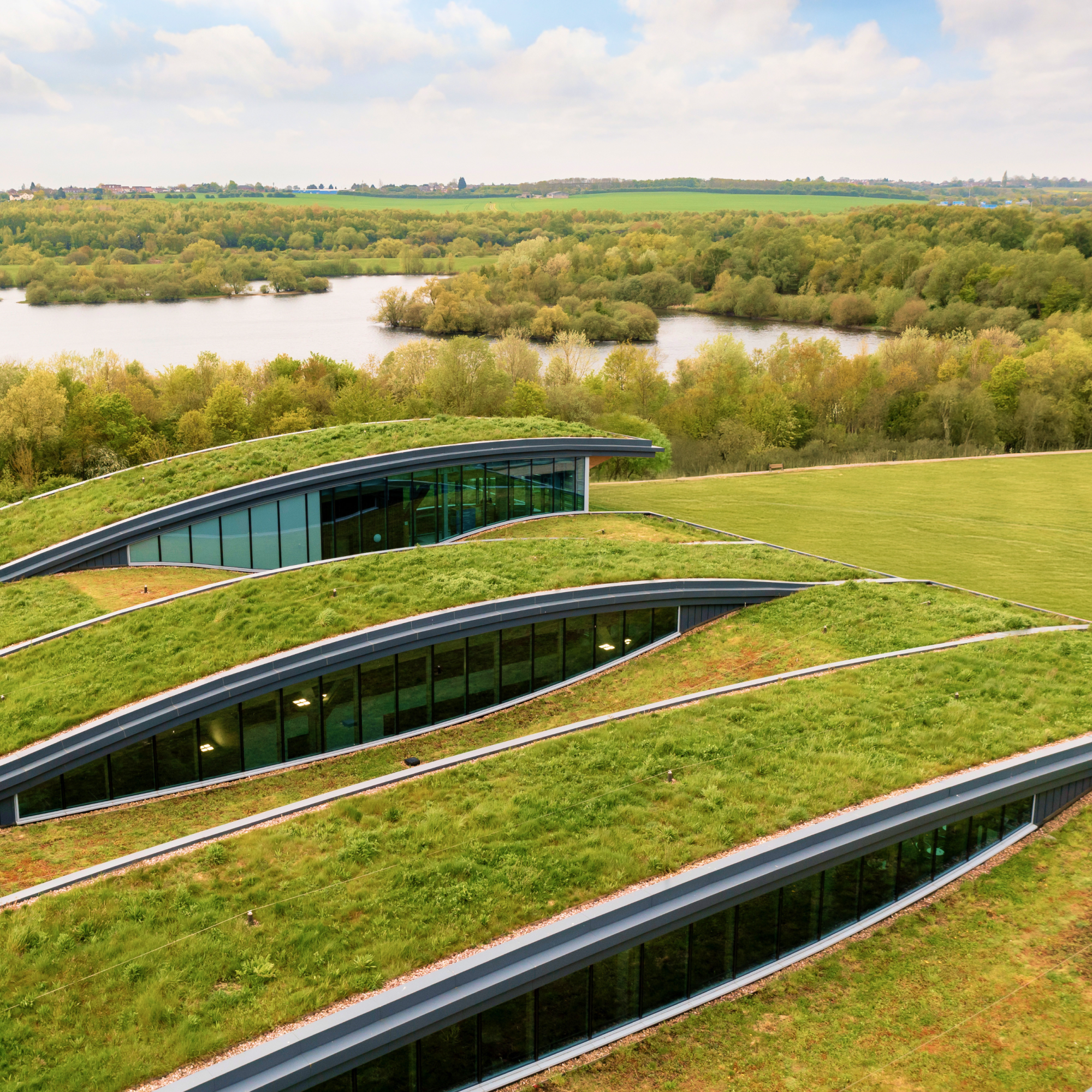 Feature image Green roofs—Do they work