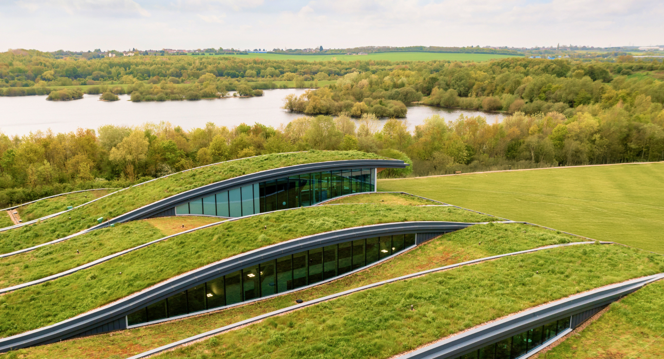 Green roofs—Do they work?
